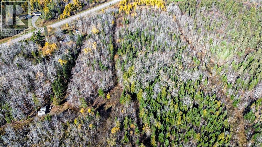 Lot Homestead Road, Salisbury, New Brunswick  O0O 0O0 - Photo 14 - NB135566
