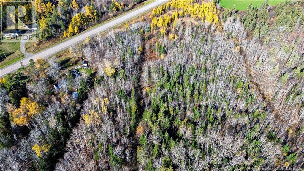 Lot Homestead Road, Salisbury, New Brunswick  O0O 0O0 - Photo 15 - NB135566