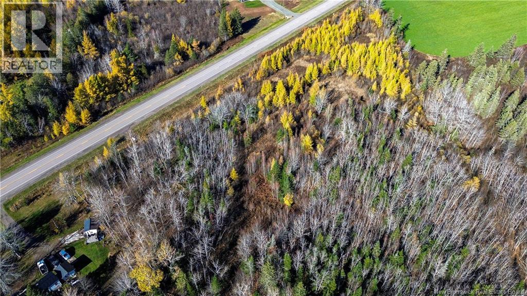Lot Homestead Road, Salisbury, New Brunswick  O0O 0O0 - Photo 16 - NB135566