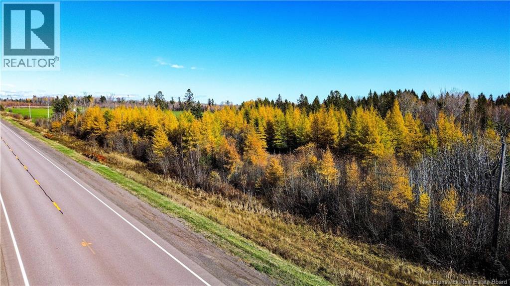 Lot Homestead Road, Salisbury, New Brunswick  O0O 0O0 - Photo 17 - NB135566
