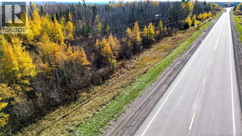 Lot Homestead Road, Salisbury, New Brunswick  O0O 0O0 - Photo 18 - NB135566