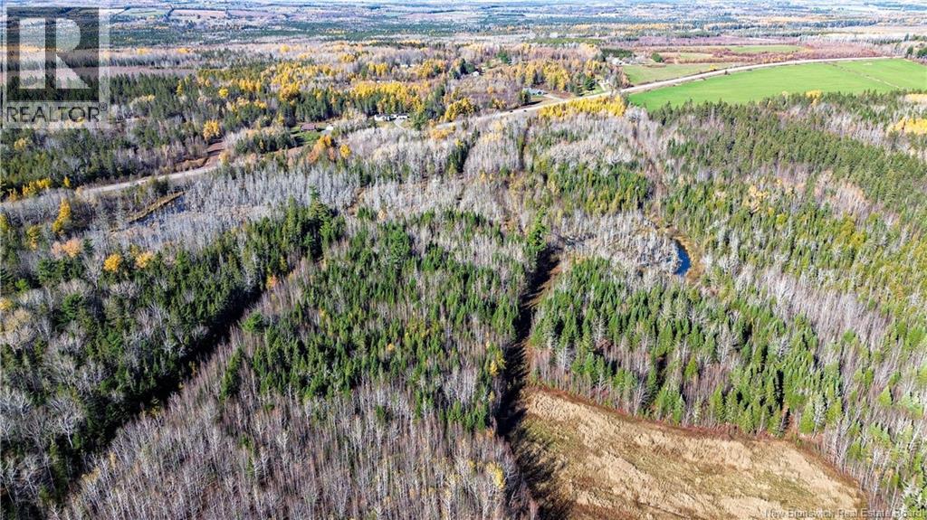 Lot Homestead Road, Salisbury, New Brunswick  O0O 0O0 - Photo 7 - NB135566
