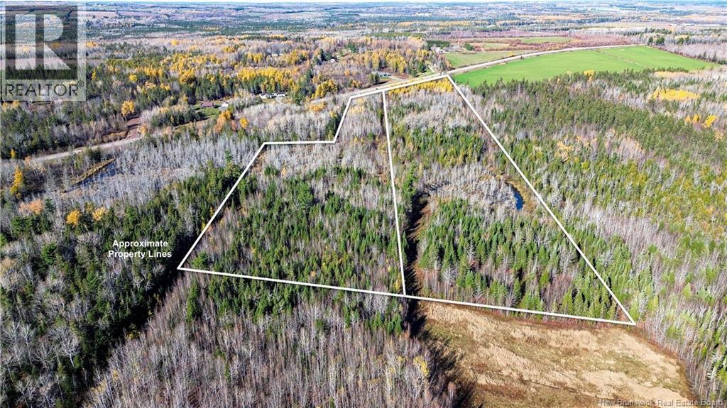 Lot Homestead Road, Salisbury, New Brunswick  O0O 0O0 - Photo 8 - NB135566