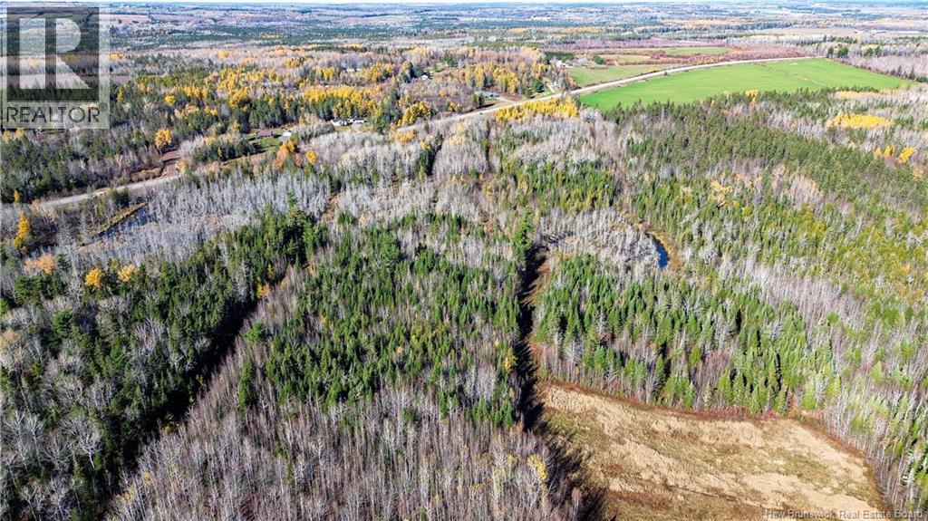Lot Homestead Road, Salisbury, New Brunswick  O0O 0O0 - Photo 9 - NB135566
