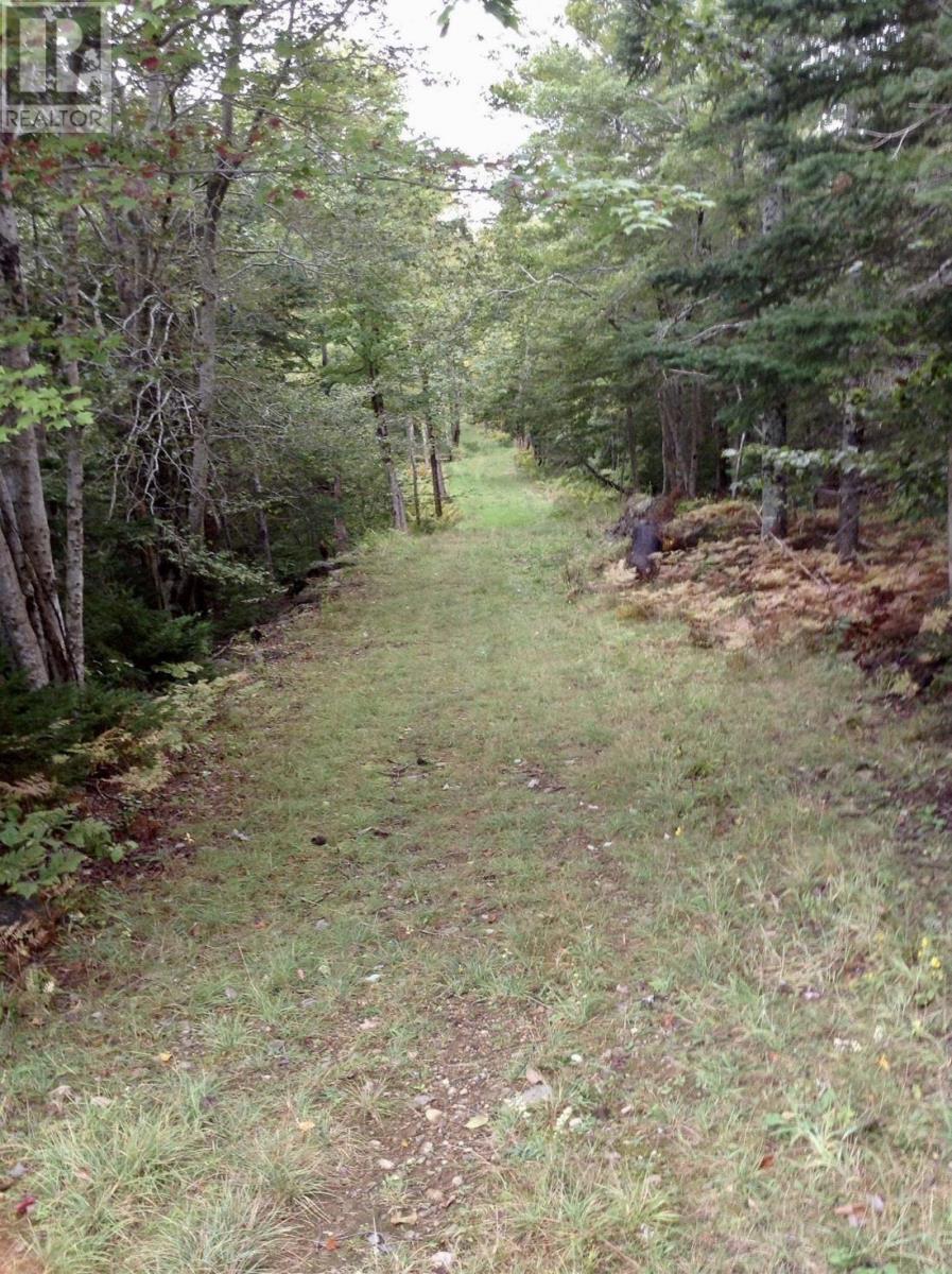 255 Virginia Road, Virginia East, Nova Scotia  B0S 1G0 - Photo 30 - 202509967