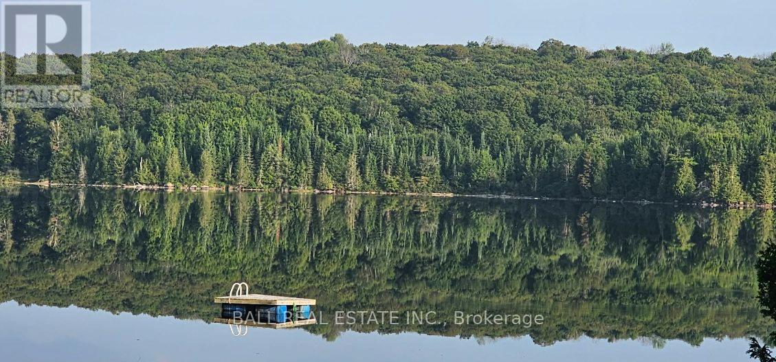 1154 Surveyor Drive, Highlands East, Ontario  K0L 2Y0 - Photo 44 - X12908290