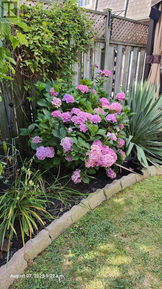 67 - 16 Homestead Crescent, London North, Ontario  N6G 2E4 - Photo 46 - X12908190