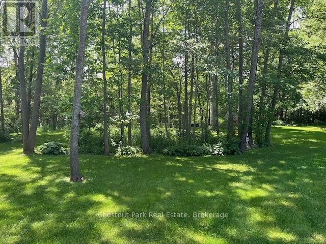 156 Harbour Beach Drive, Meaford, Ontario  N4L 1W5 - Photo 30 - X12908266