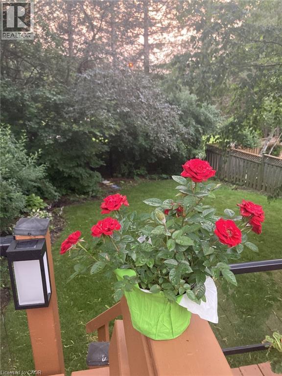 327 Wyecroft Boulevard, Waterloo, Ontario  N2T 2H3 - Photo 37 - 40805686