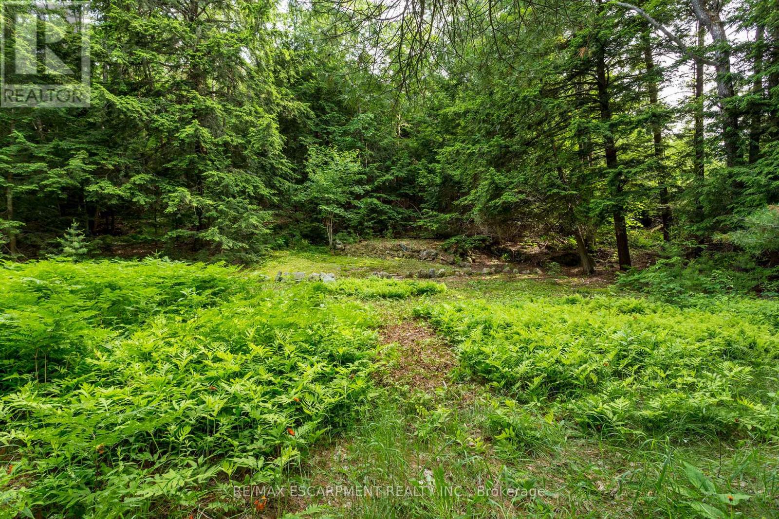 0 Crown Island, Huntsville, Ontario  P0B 1L0 - Photo 33 - X12908286