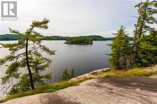 0 Crown Island, Huntsville, Ontario  P0B 1L0 - Photo 39 - X12908286