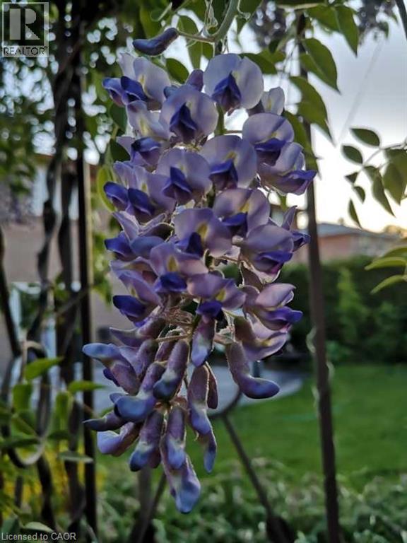 1294 Napier Crescent, Oakville, Ontario  L6H 2A4 - Photo 45 - 40809306