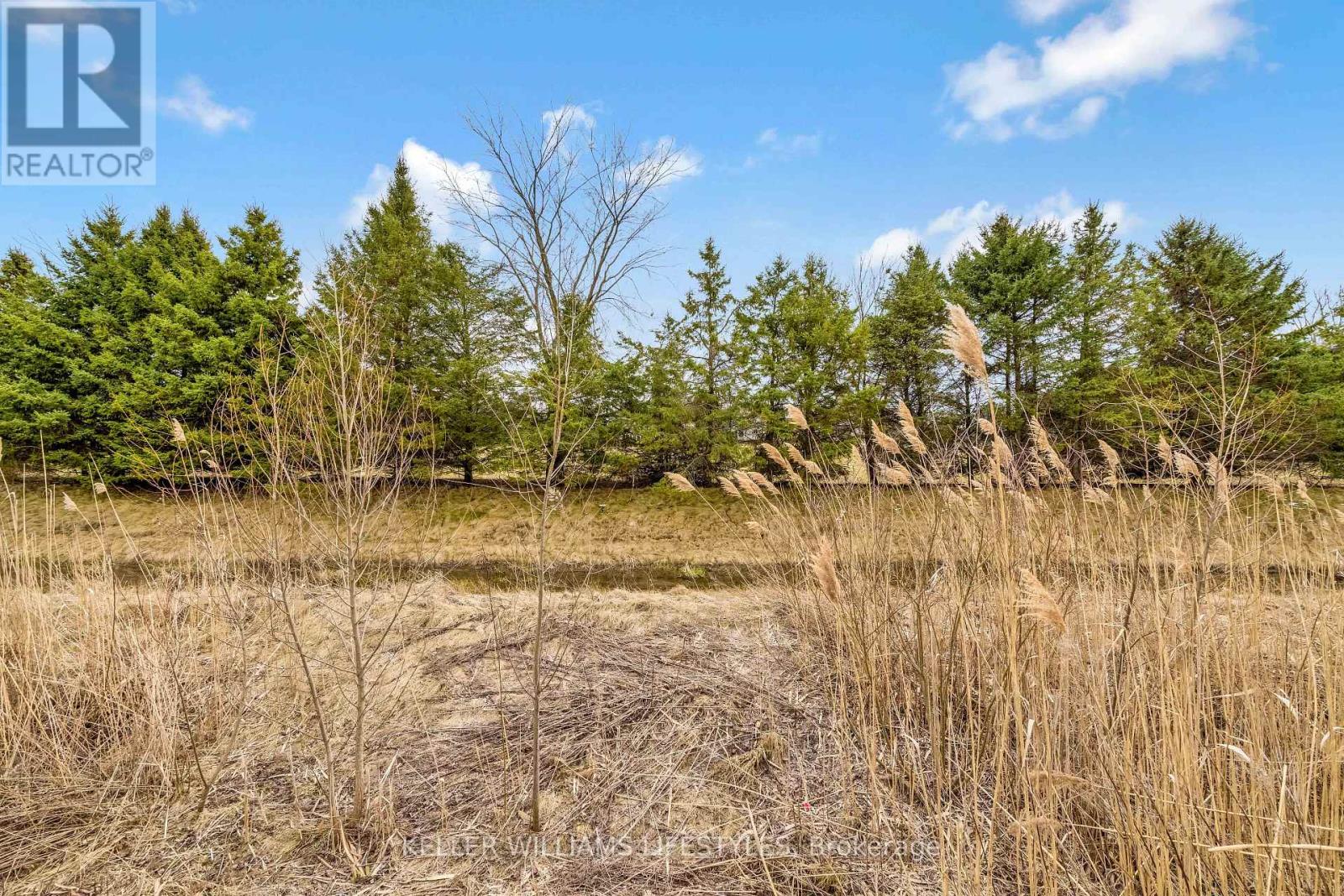 10 Mcneil Street, Strathroy-Caradoc, Ontario  N0L 1W0 - Photo 39 - X12908416