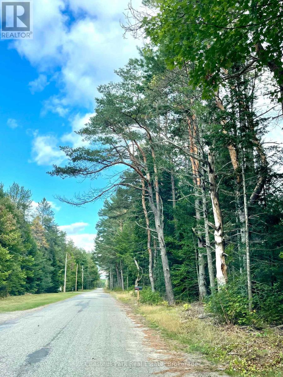 0 Cardwell Lake Road, Huntsville (Stisted), Ontario  P0B 1M0 - Photo 10 - X12908454