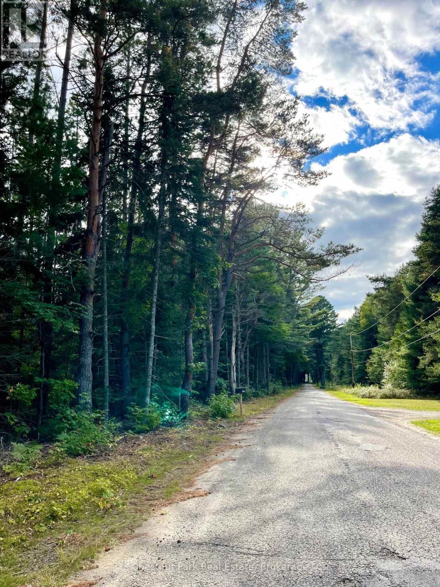 0 Cardwell Lake Road, Huntsville (Stisted), Ontario  P0B 1M0 - Photo 12 - X12908454