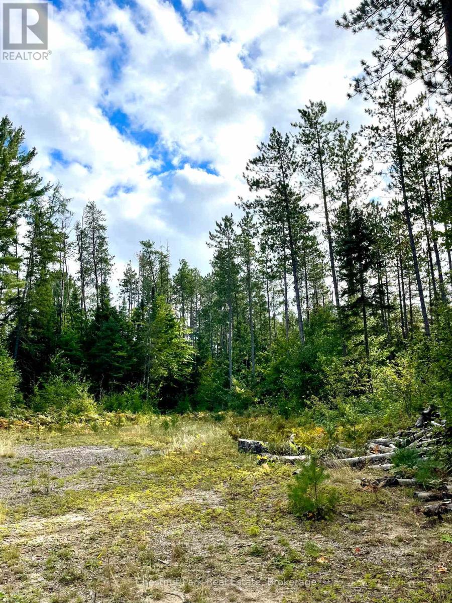 0 Cardwell Lake Road, Huntsville (Stisted), Ontario  P0B 1M0 - Photo 13 - X12908454