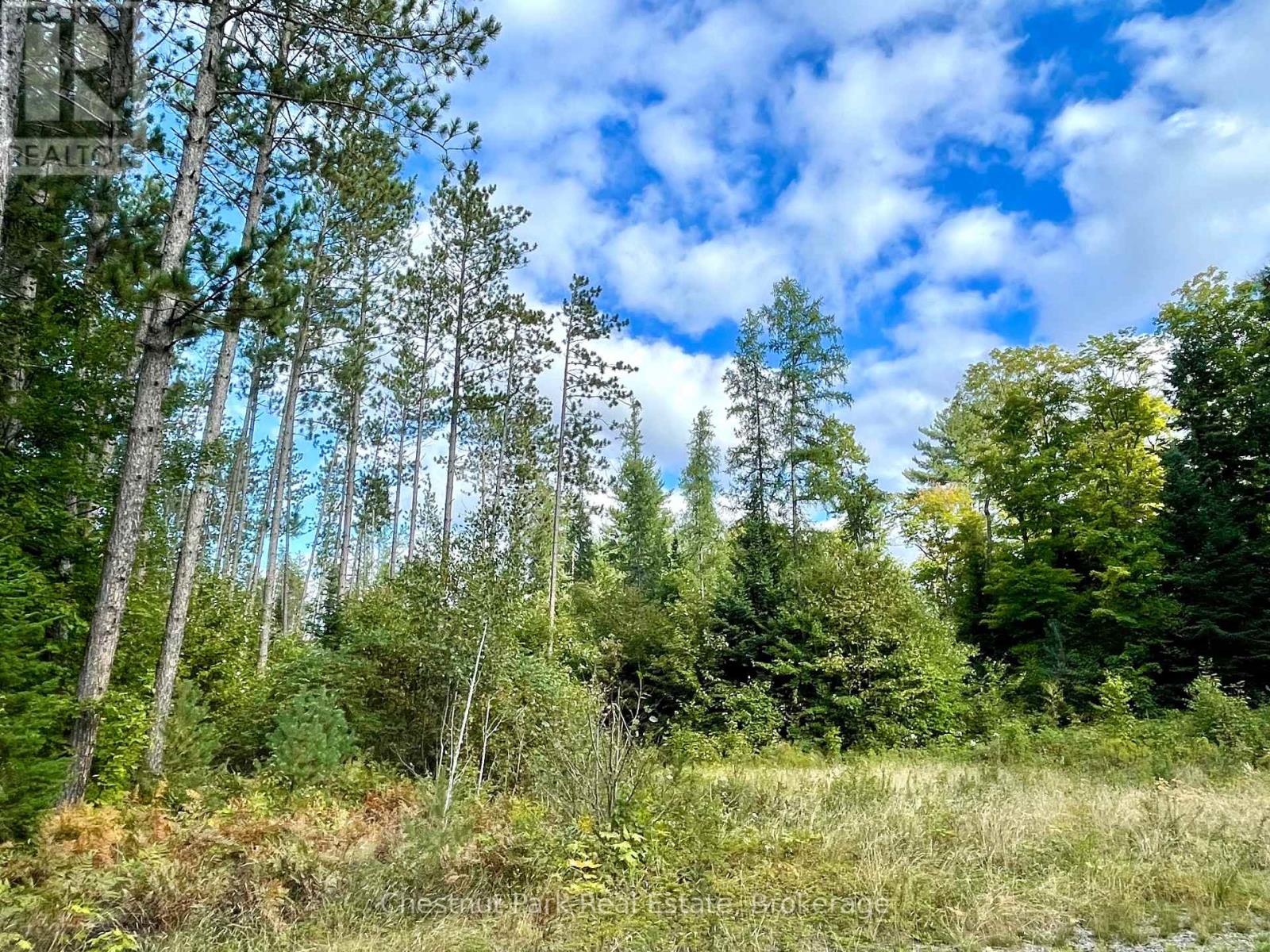 0 Cardwell Lake Road, Huntsville (Stisted), Ontario  P0B 1M0 - Photo 14 - X12908454