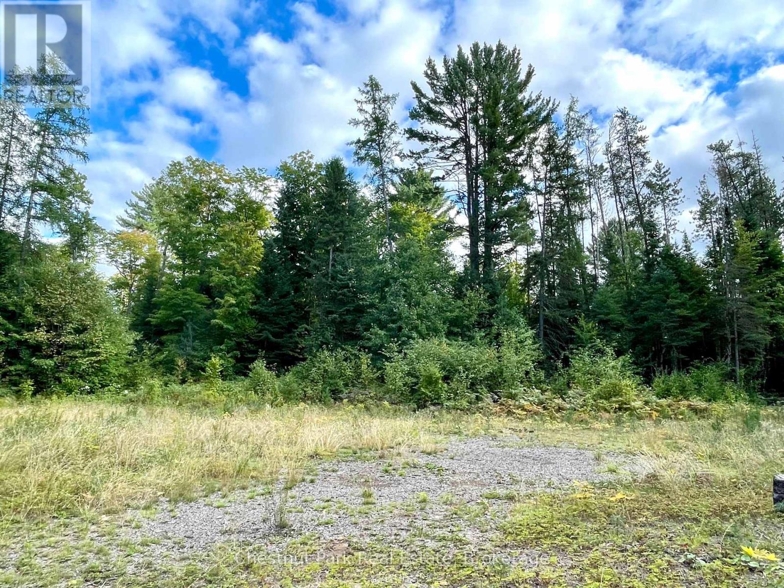 0 Cardwell Lake Road, Huntsville (Stisted), Ontario  P0B 1M0 - Photo 15 - X12908454