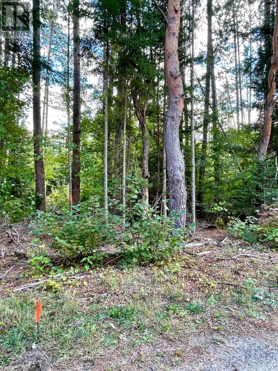 0 Cardwell Lake Road, Huntsville (Stisted), Ontario  P0B 1M0 - Photo 20 - X12908454