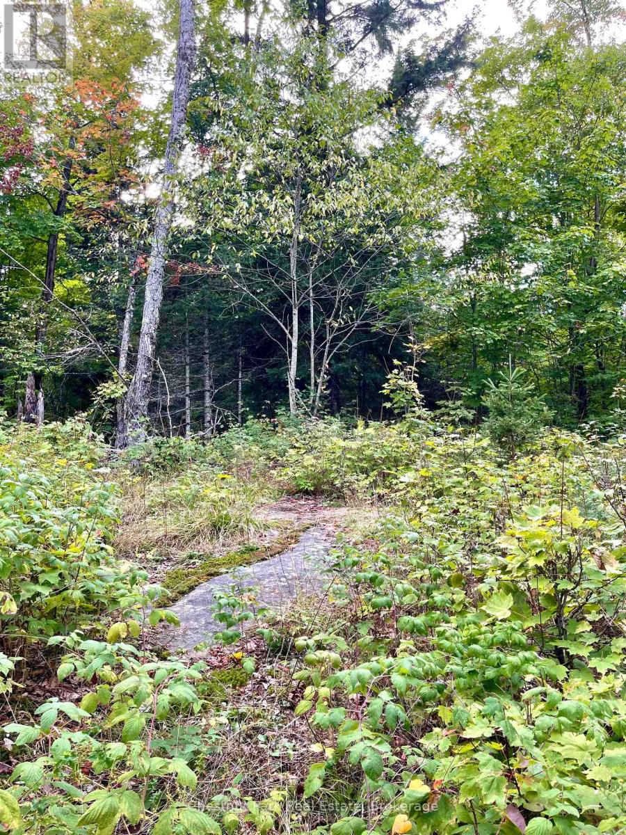 0 Cardwell Lake Road, Huntsville (Stisted), Ontario  P0B 1M0 - Photo 26 - X12908454