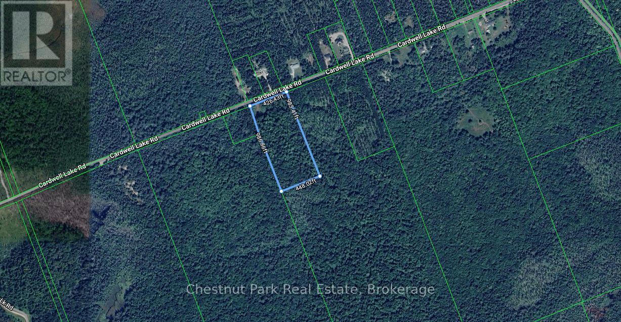 0 Cardwell Lake Road, Huntsville (Stisted), Ontario  P0B 1M0 - Photo 33 - X12908454