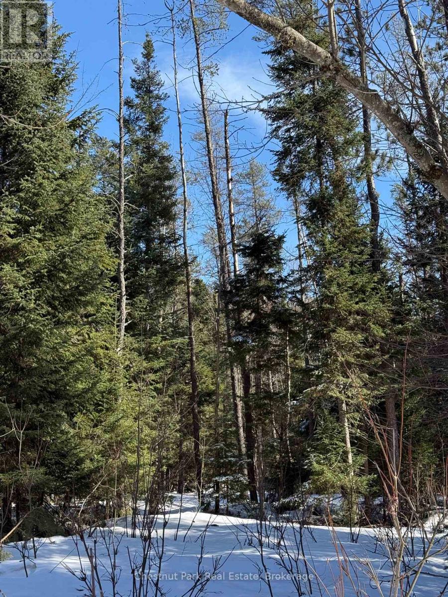 0 Cardwell Lake Road, Huntsville (Stisted), Ontario  P0B 1M0 - Photo 35 - X12908454