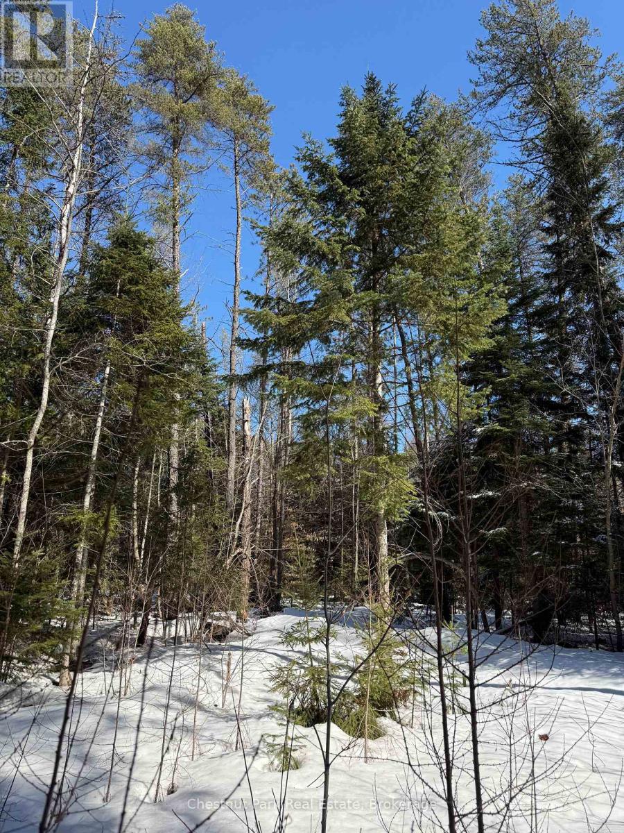 0 Cardwell Lake Road, Huntsville (Stisted), Ontario  P0B 1M0 - Photo 36 - X12908454