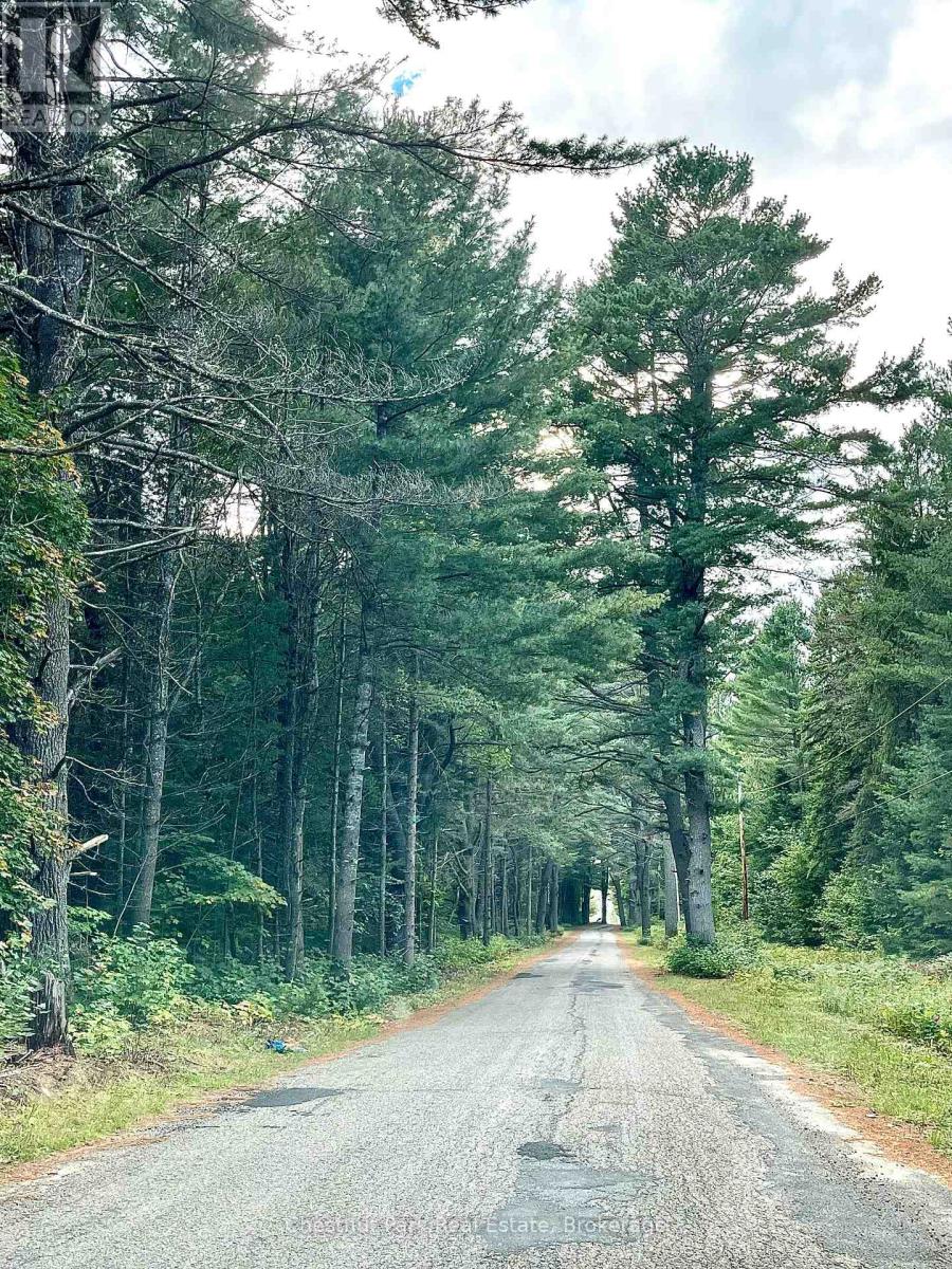 0 Cardwell Lake Road, Huntsville (Stisted), Ontario  P0B 1M0 - Photo 5 - X12908454