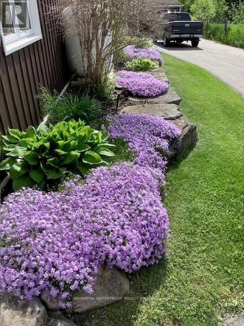 33 Northline Road, Kawartha Lakes, Ontario  K0M 1N0 - Photo 31 - X12908350