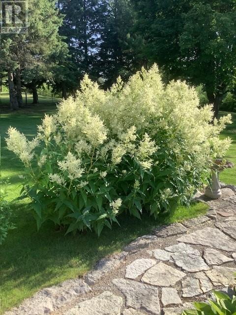 33 Northline Road, Kawartha Lakes, Ontario  K0M 1N0 - Photo 32 - X12908350