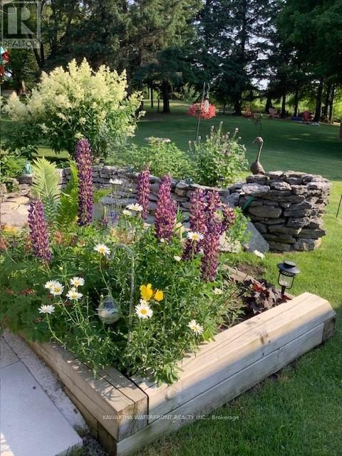 33 Northline Road, Kawartha Lakes, Ontario  K0M 1N0 - Photo 33 - X12908350