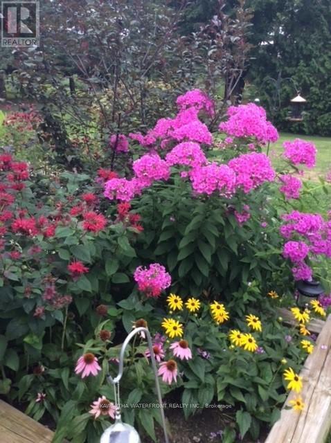 33 Northline Road, Kawartha Lakes, Ontario  K0M 1N0 - Photo 34 - X12908350