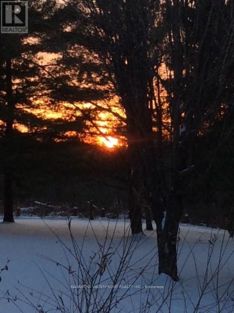 33 Northline Road, Kawartha Lakes, Ontario  K0M 1N0 - Photo 38 - X12908350