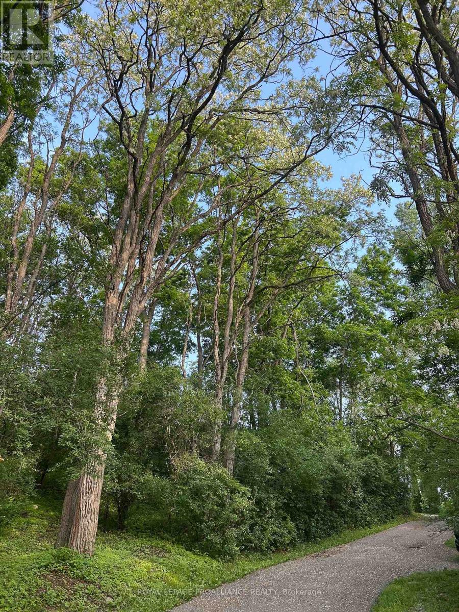 101 Zion Road, Belleville, Ontario  K0K 3E0 - Photo 45 - X12908364