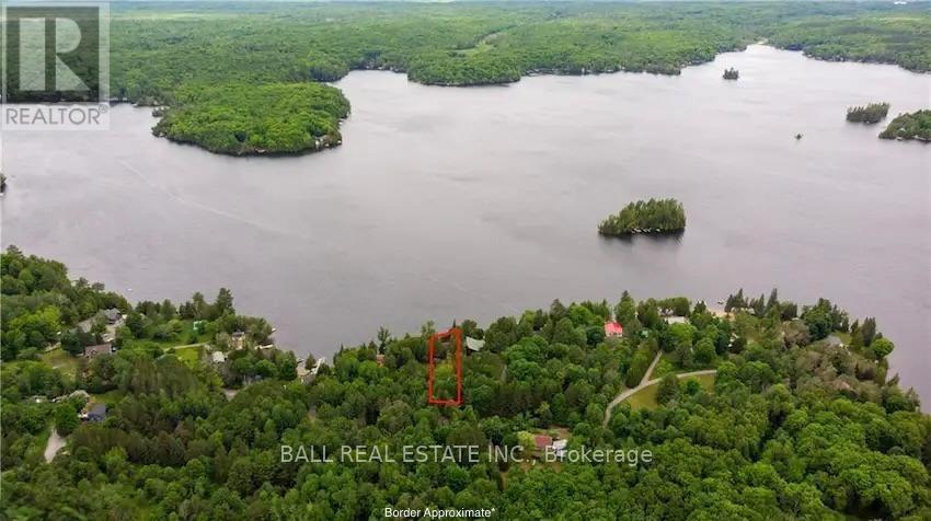 170 Couchs Road, North Kawartha, Ontario  K0L 1A0 - Photo 7 - X12908516