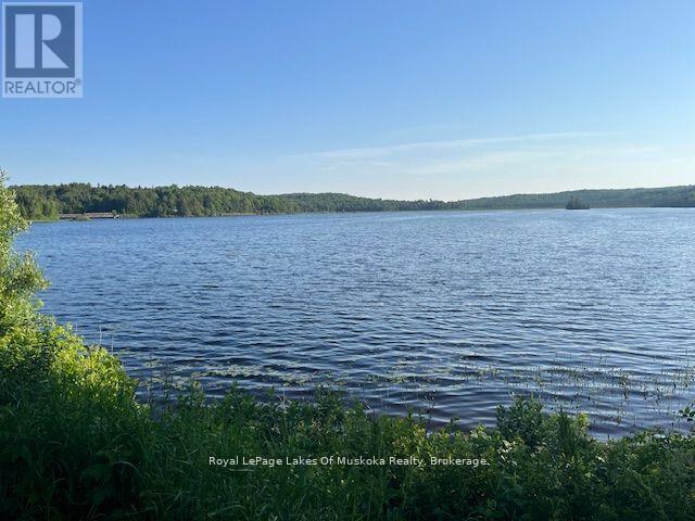 36 Ottawa Avenue, South River, Ontario  P0A 1X0 - Photo 5 - X12908654