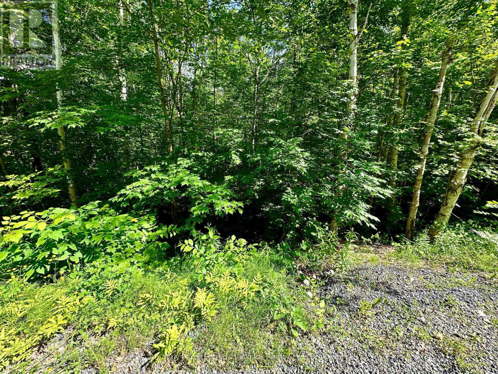 0 Frontenac Drive, Mckellar, Ontario  P0G 1C0 - Photo 5 - X12908738