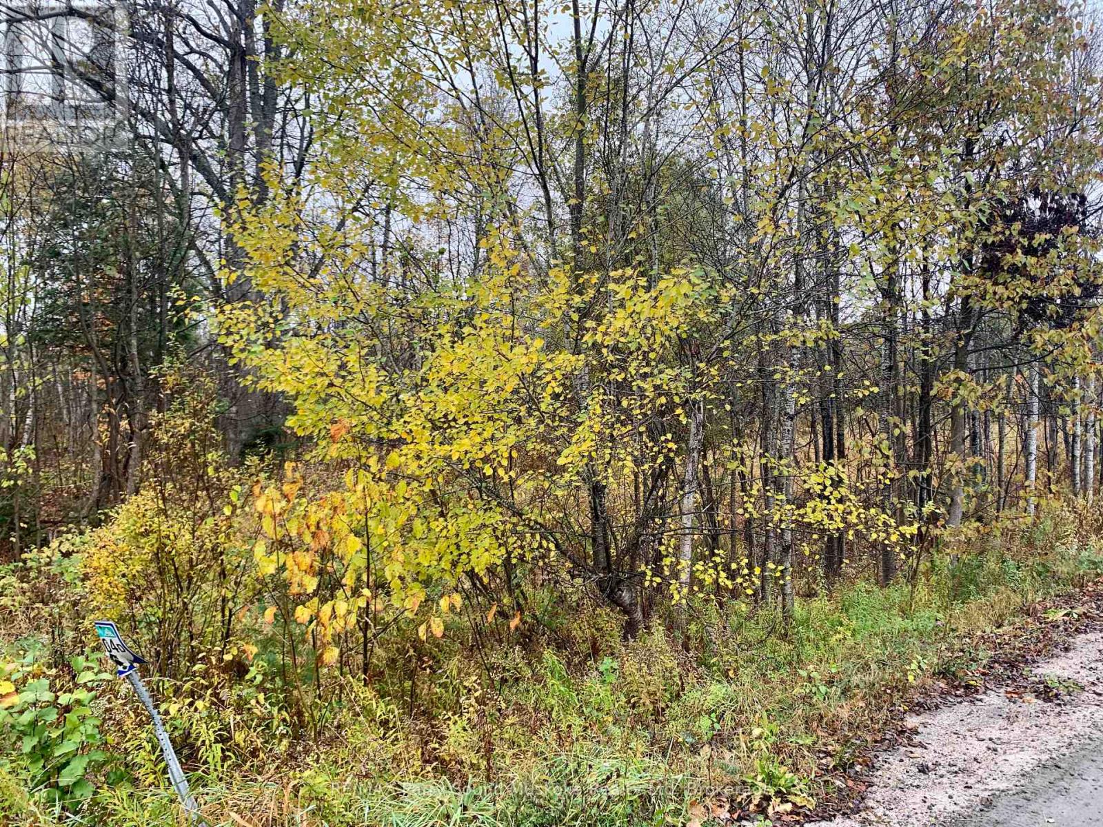 Lot 1 Moore Drive, Whitestone, Ontario  P0A 1G0 - Photo 10 - X12908766