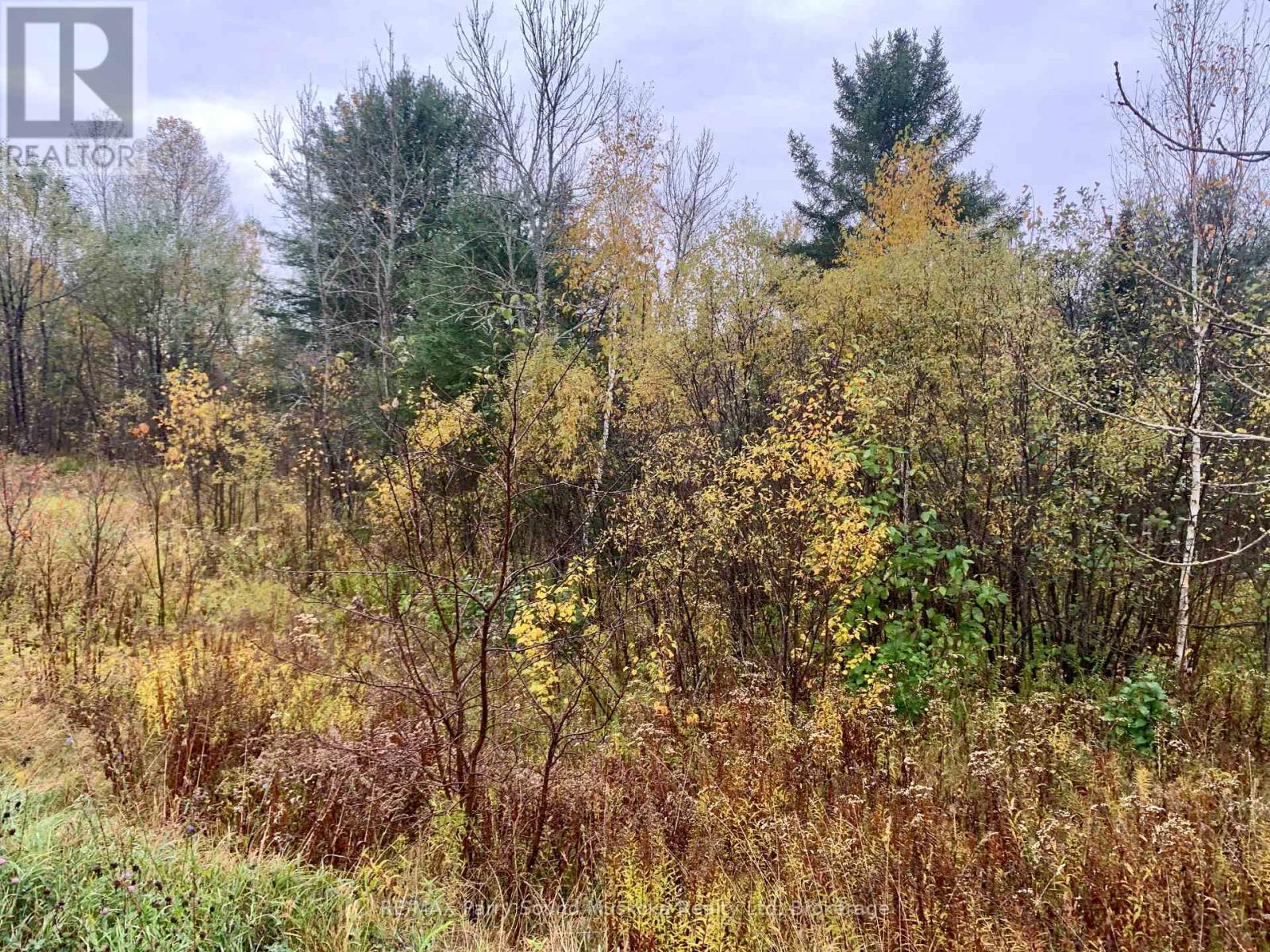 Lot 1 Moore Drive, Whitestone, Ontario  P0A 1G0 - Photo 13 - X12908766