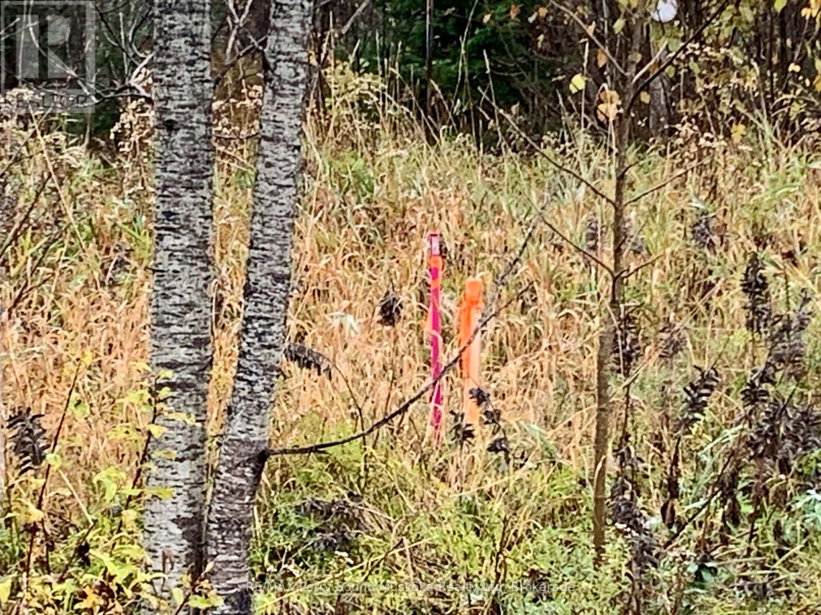 Lot 1 Moore Drive, Whitestone, Ontario  P0A 1G0 - Photo 16 - X12908766