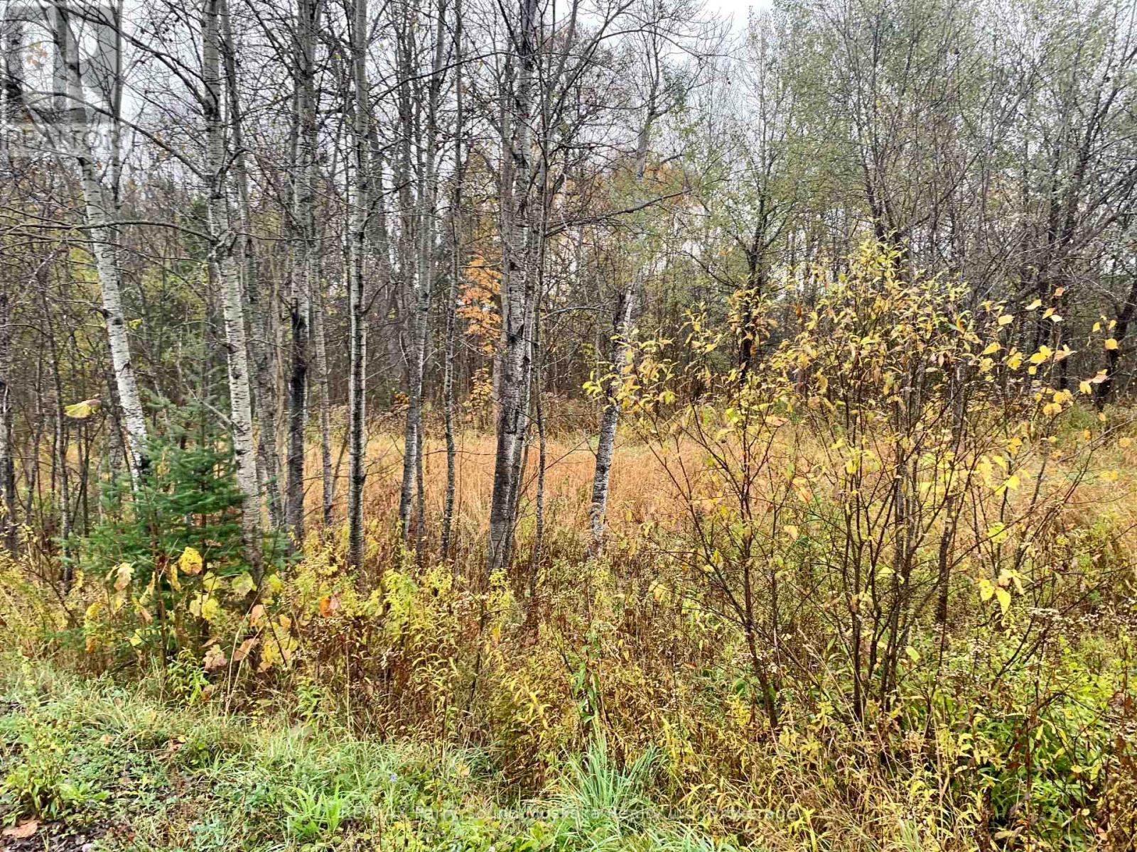 Lot 1 Moore Drive, Whitestone, Ontario  P0A 1G0 - Photo 3 - X12908766