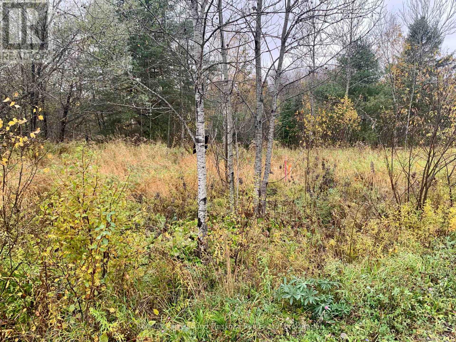 Lot 1 Moore Drive, Whitestone, Ontario  P0A 1G0 - Photo 4 - X12908766