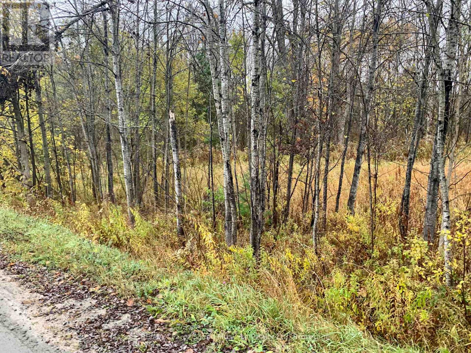 Lot 1 Moore Drive, Whitestone, Ontario  P0A 1G0 - Photo 6 - X12908766