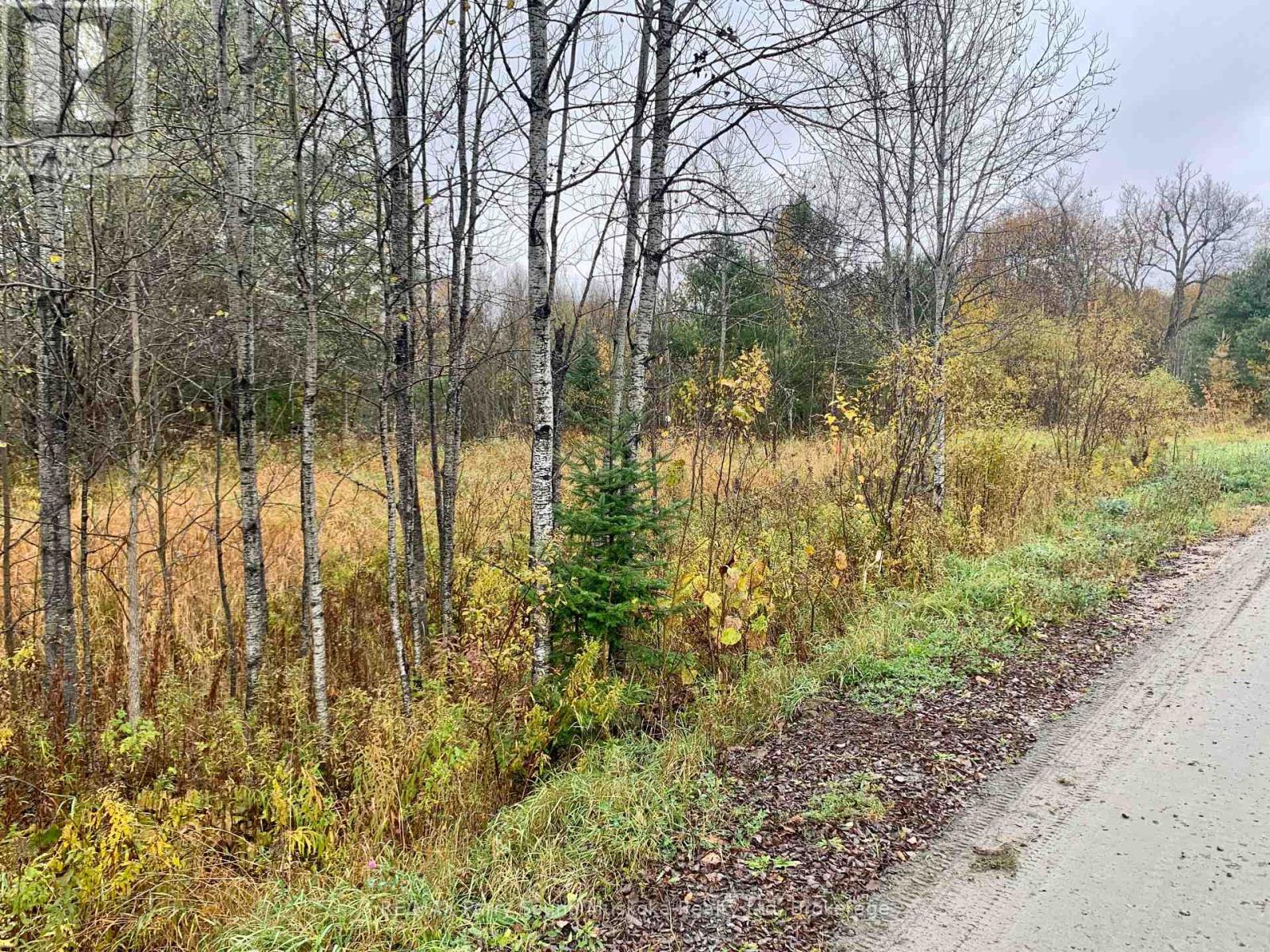 Lot 1 Moore Drive, Whitestone, Ontario  P0A 1G0 - Photo 7 - X12908766