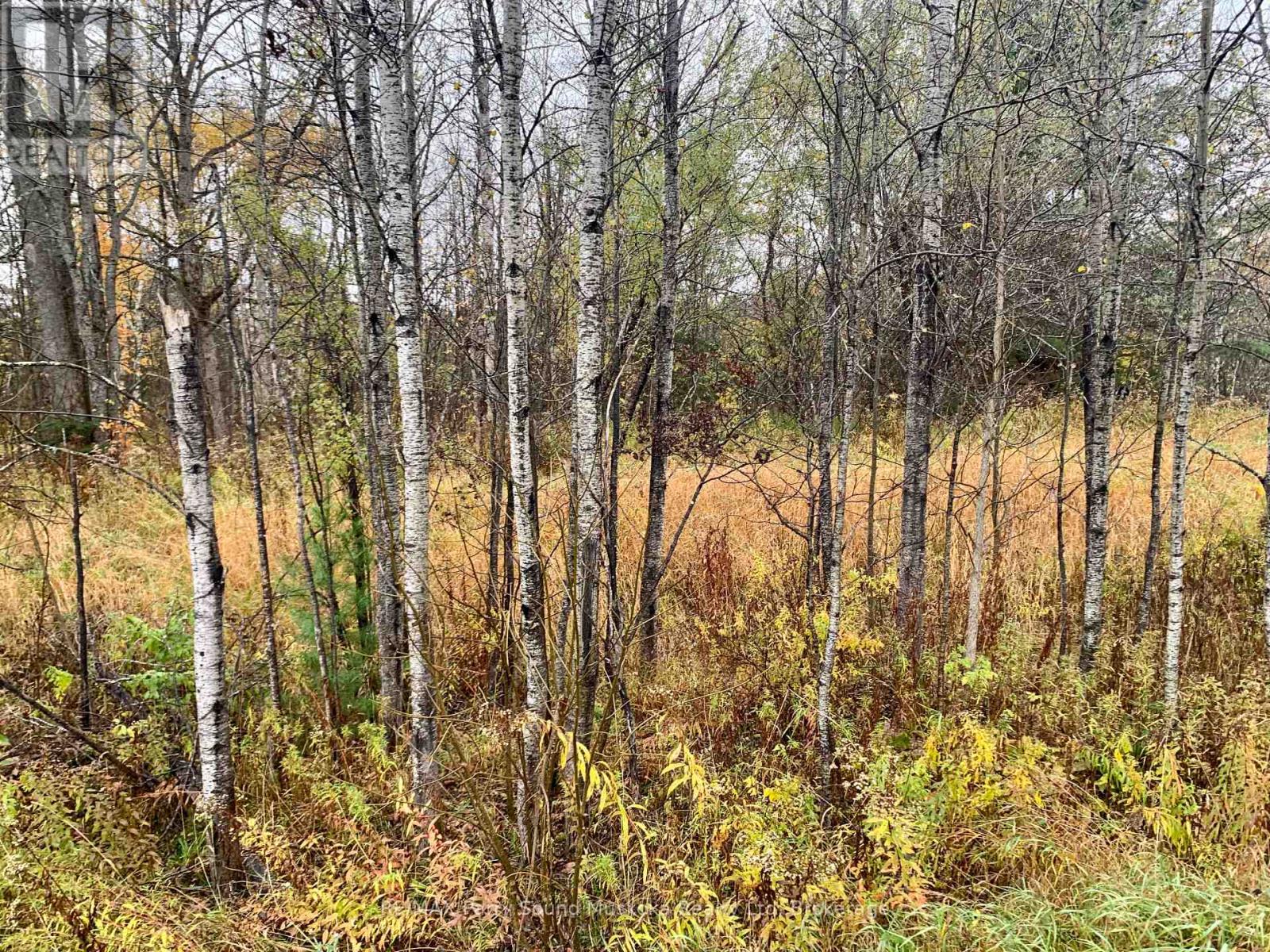 Lot 1 Moore Drive, Whitestone, Ontario  P0A 1G0 - Photo 8 - X12908766