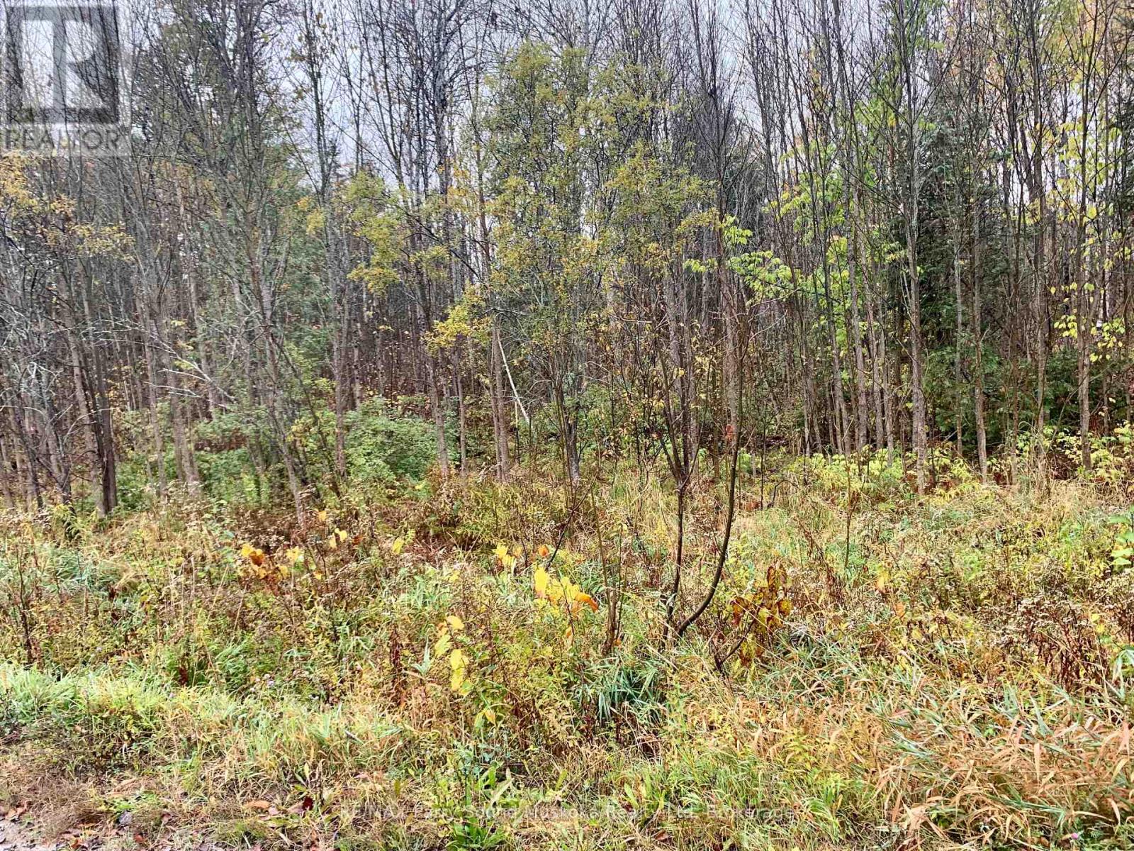 Lot 2 Moore Drive, Whitestone, Ontario  P0A 1G0 - Photo 10 - X12908814