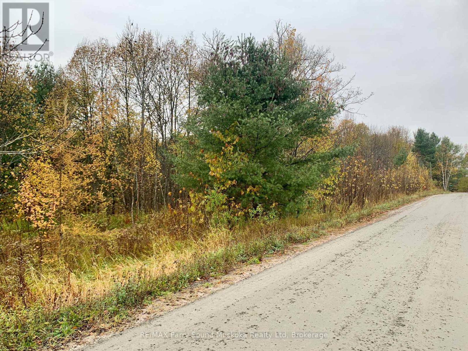 Lot 2 Moore Drive, Whitestone, Ontario  P0A 1G0 - Photo 13 - X12908814