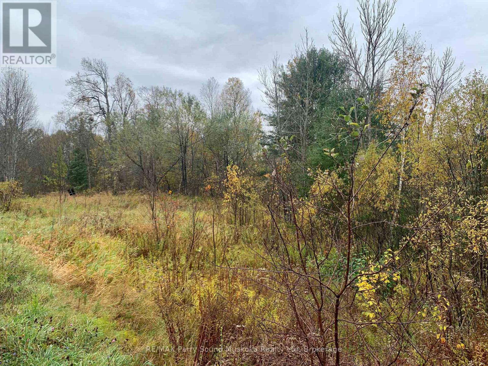 Lot 2 Moore Drive, Whitestone, Ontario  P0A 1G0 - Photo 15 - X12908814