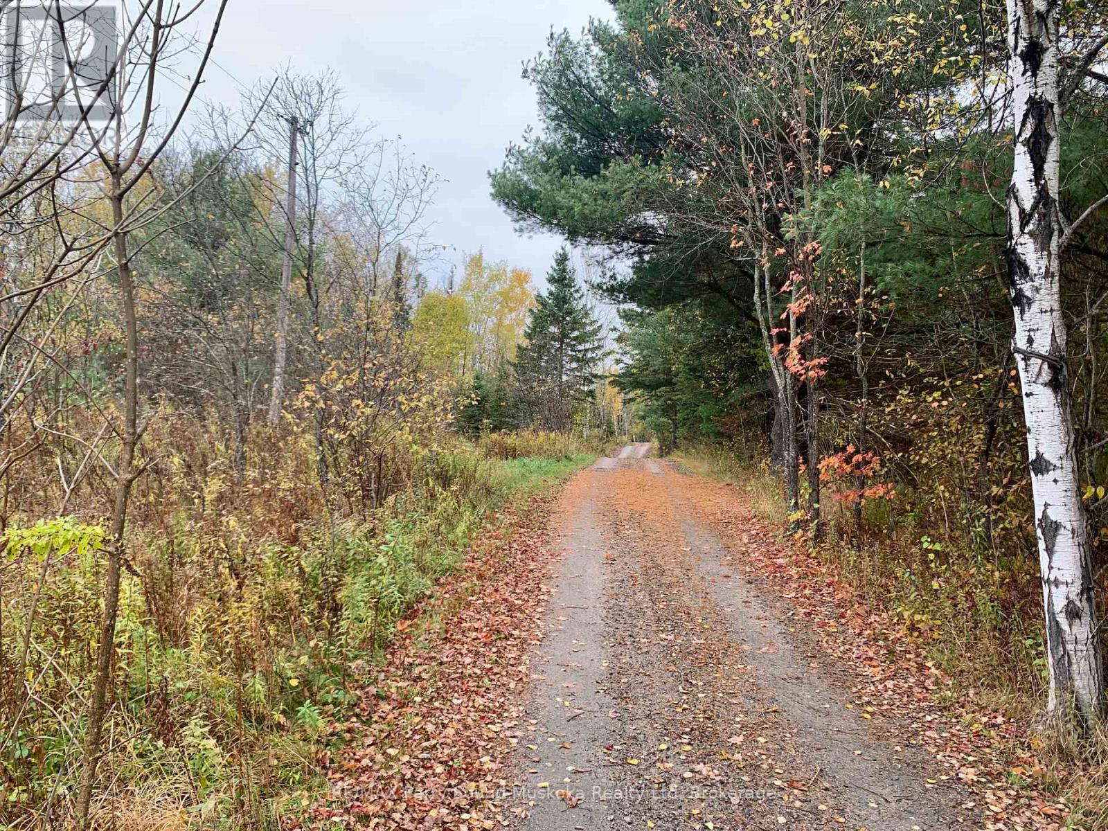 Lot 1 Highway 124, Whitestone, Ontario  P0A 1G0 - Photo 5 - X12908826