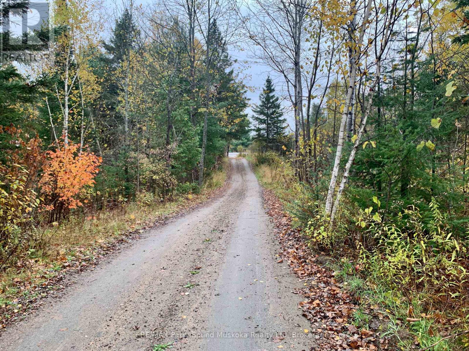 Lot 1 Highway 124, Whitestone, Ontario  P0A 1G0 - Photo 6 - X12908826